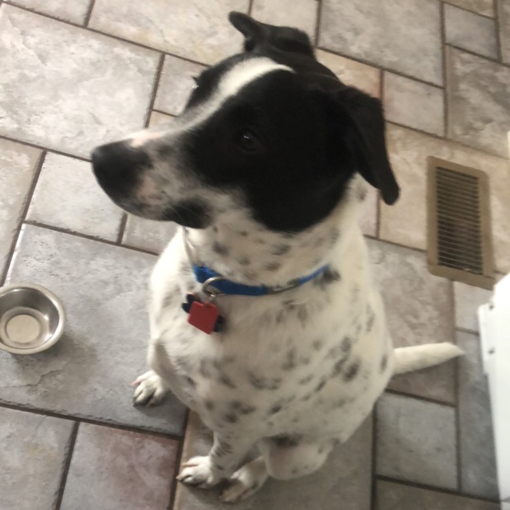 Meet your Posher, Faith